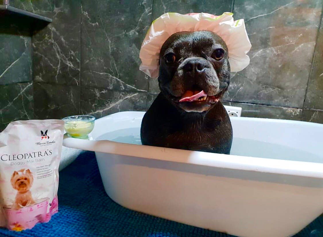 Cleopatra's Doggy Milk Bath - Two Sizes: 12 oz